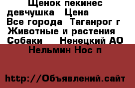 Щенок пекинес девчушка › Цена ­ 2 500 - Все города, Таганрог г. Животные и растения » Собаки   . Ненецкий АО,Нельмин Нос п.